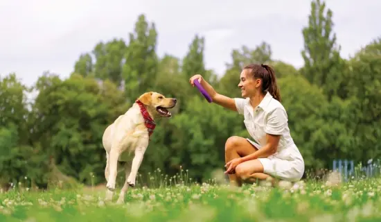 Fitness Station - Representative Image