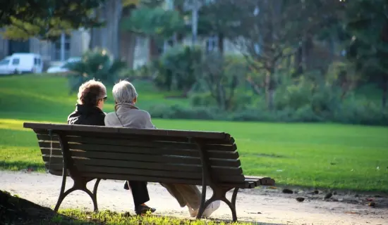 Organic Garden & Senior Citizen Plaza - Representative Image