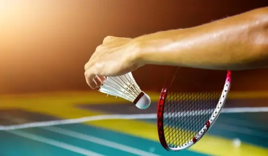 Badminton & Half Basketball Court - Representative Image